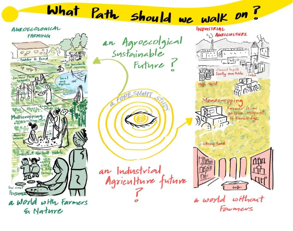 Drawing showing the scenarios resulting from the Agroeco2050 project, produced at a workshop in Delhi in November 2022 © S. Mangipudi, Visualthink